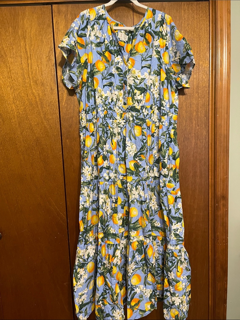 Anthropologie 3x Somerset Maxi Dress Blue 🍋 Lemon Floral Print
